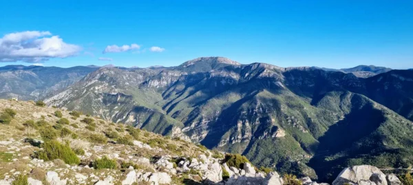 Vallée de La Vézubie 01- France - Image 13